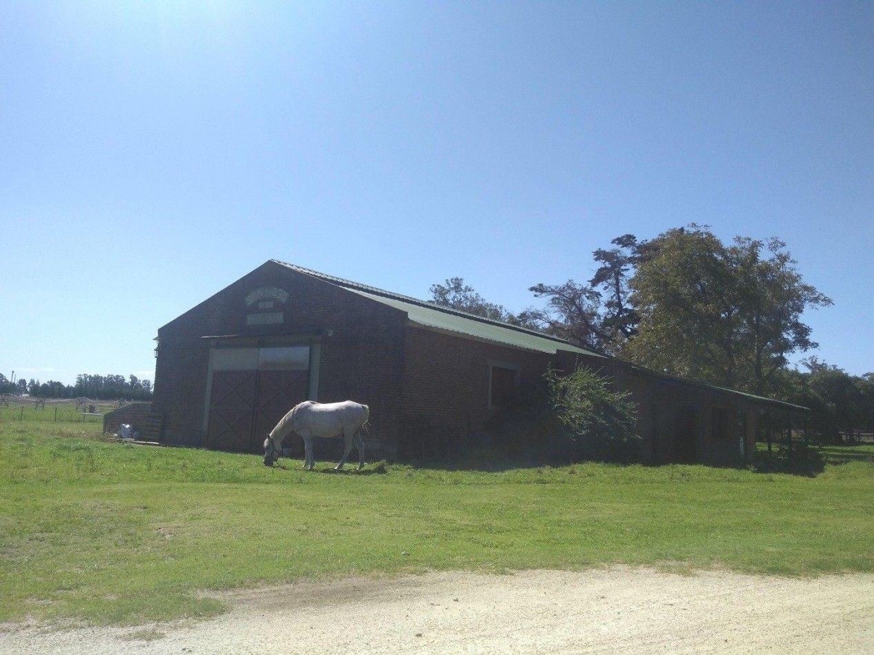 Campo de 20 hectáreas en venta - Parque Camet