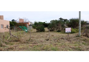 LOTE OPORTUNIDAD 